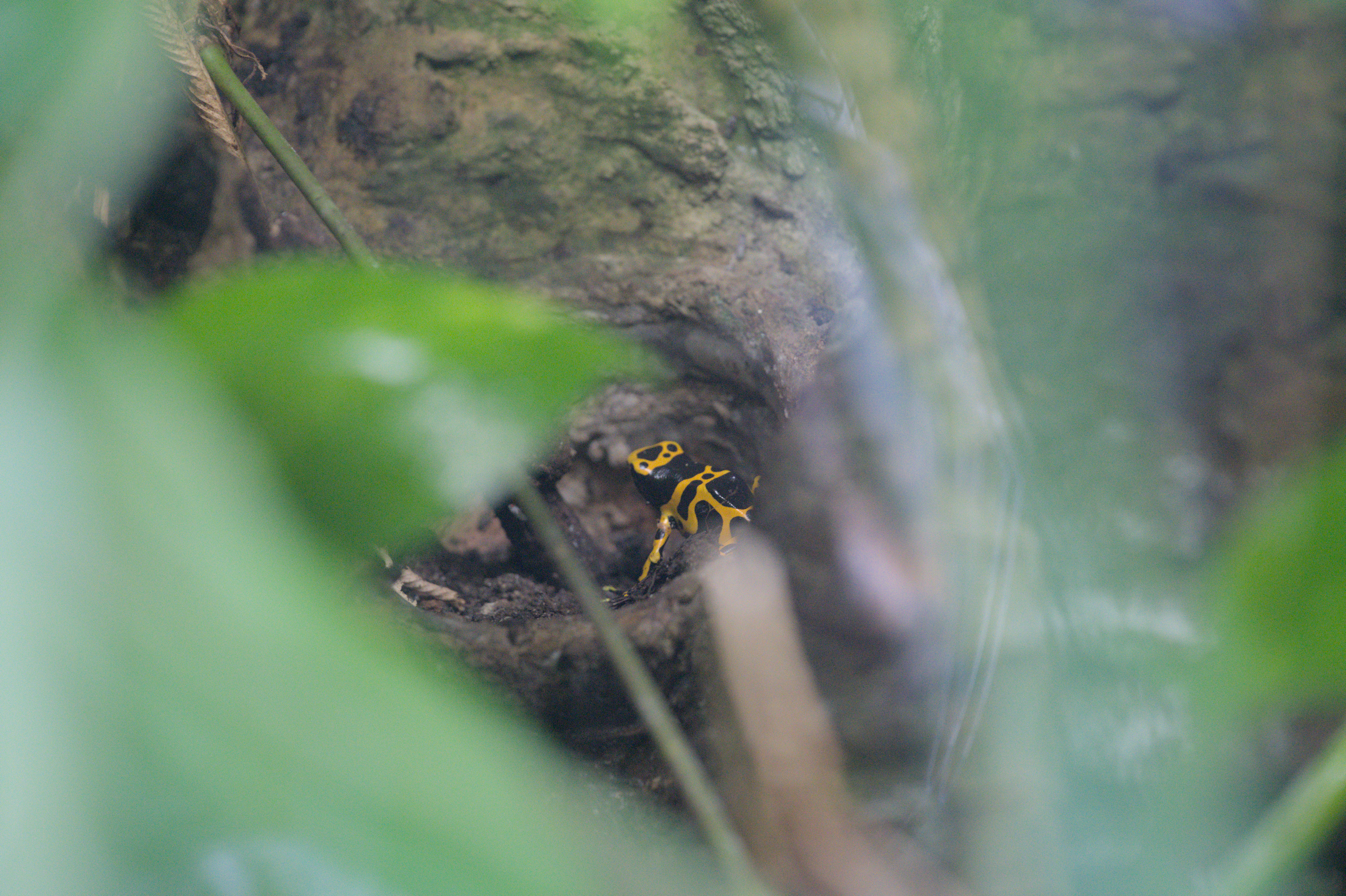 2025/10/12 - zoo/DSC_0163.jpg